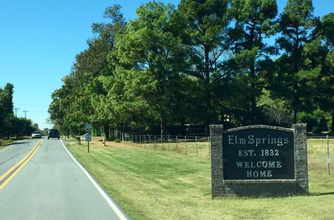 Elm Springs